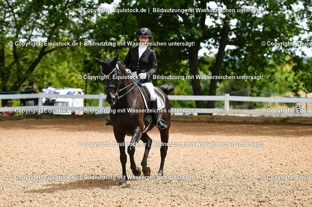 20230716_01_Dressurprüfung Kl.M_0013 | equistock