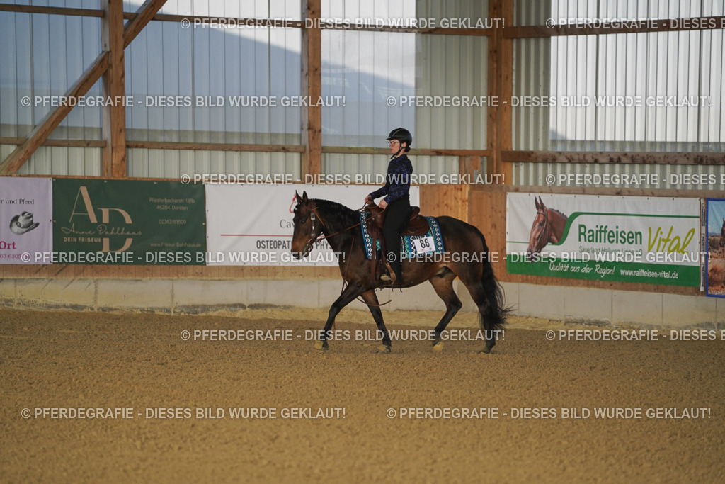 DSC08123 | Pferdegrafie