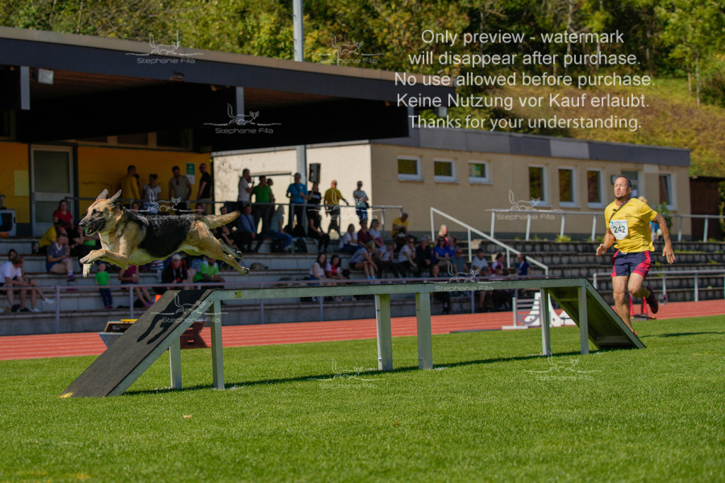 Sonntag_VK Hindernis (279 von 671) | stephaniefillaphotographie - Realisiert mit Pictrs.com