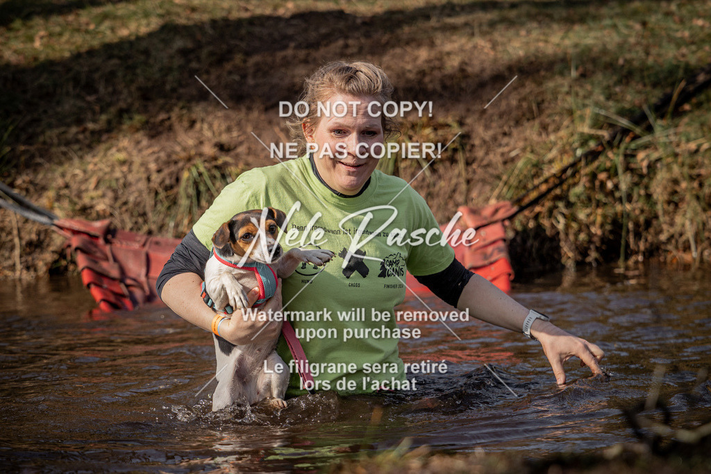 nelerasche_FS1330-1400_113 | nelerasche