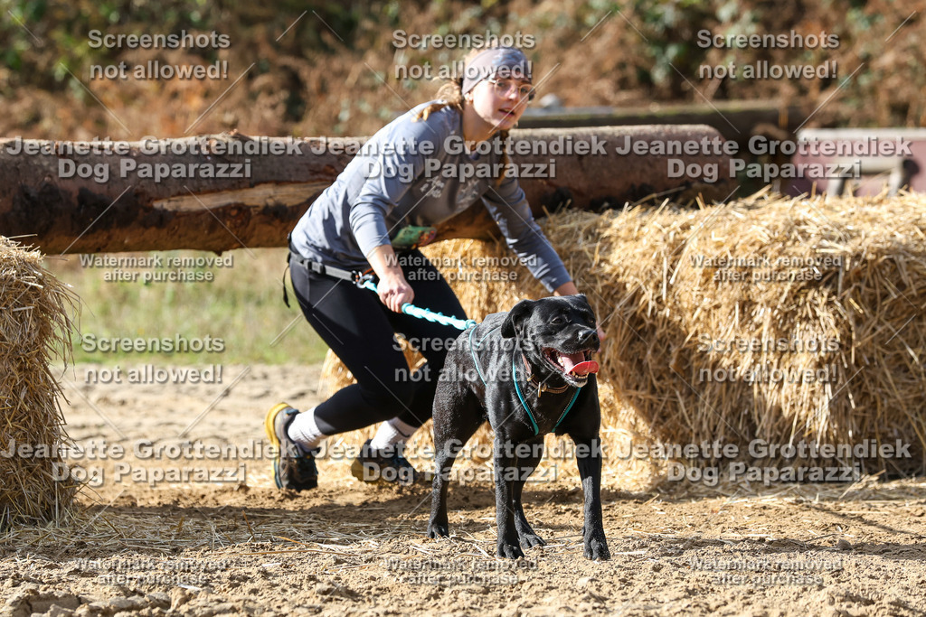 Dog Paparazzi - Strongdog 10-25-5367 | Dog Paparazzi Jeanette Grottendiek Fotografie & Videografie - Realisiert mit Pictrs.com