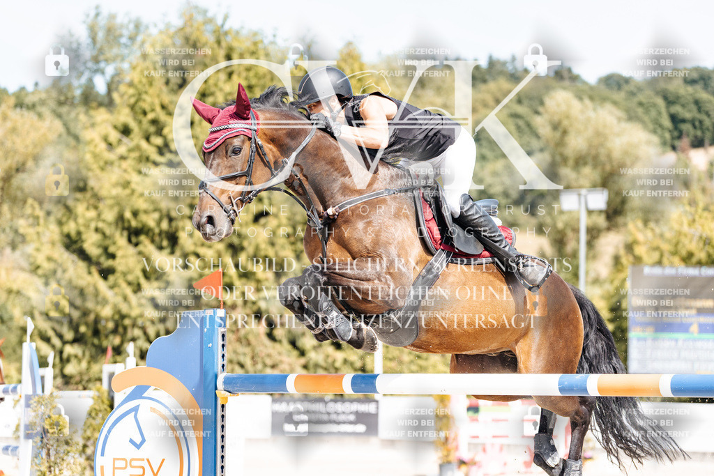 CK905326 | Turnierfotografie Pferdefotografie Trier Rheinland-Pfalz Pferdesport Reitsport Tierfotografie Sportfotografie Pferdevideo Pferdevideografie Equestrianvideography equestrianphotography  - Realisiert mit Pictrs.com