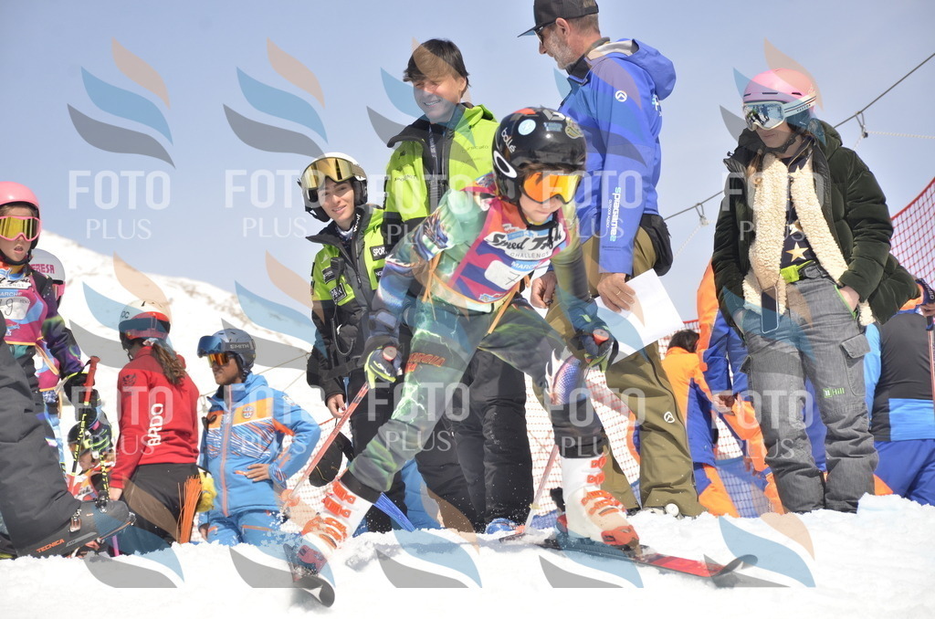 _ELE9187 | holidayphoto