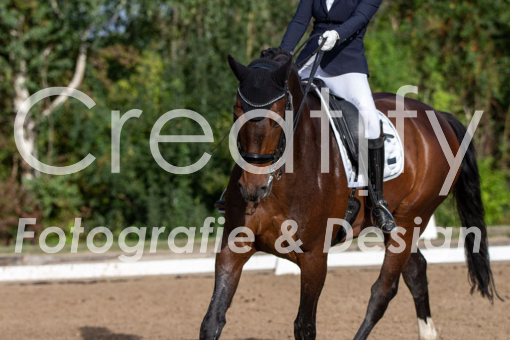 IMG_6075 | Creatify Fotografie