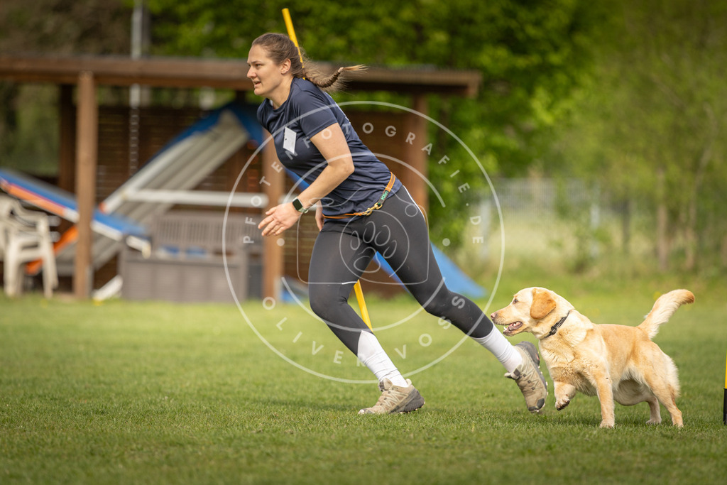 Pfotenfotografie_DV3A5106 | Hundefotografie, Tierfotograf, Pfotenfotografie, Fotoshooting Hund, Hunde Portrait, Hundesport, Hundeportraits, Heideshooting, Hunde, Sportfotograf, Hundefotograf, Turnierhundsport, THS,  - Realisiert mit Pictrs.com