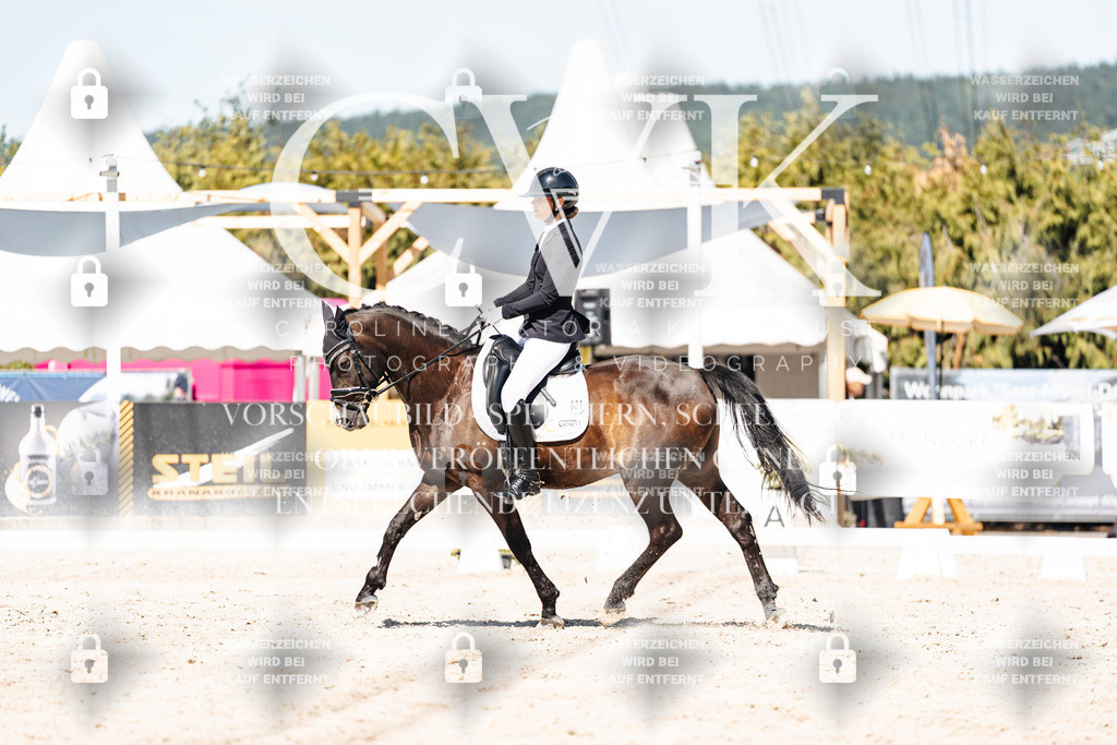 CK909638 | Turnierfotografie Pferdefotografie Trier Rheinland-Pfalz Pferdesport Reitsport Tierfotografie Sportfotografie Pferdevideo Pferdevideografie Equestrianvideography equestrianphotography  - Realisiert mit Pictrs.com