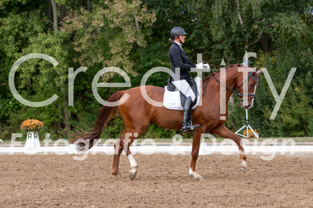 IMG_5026 | Creatify Fotografie