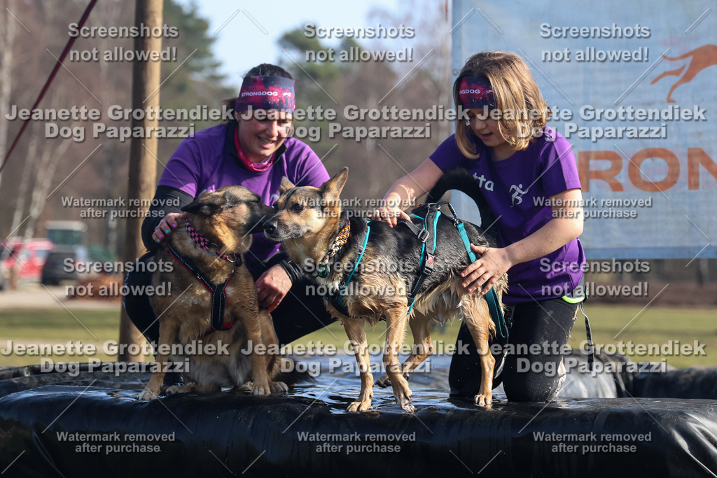 Dog Paparazzi - Strongdog North Mrz26-1353 | Dog Paparazzi Jeanette Grottendiek Fotografie & Videografie - Realisiert mit Pictrs.com