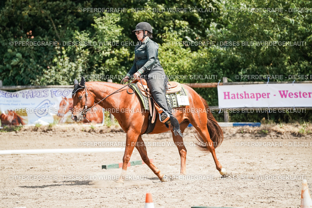 DSC06521 | Pferdegrafie