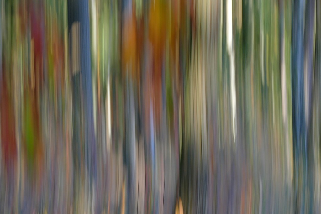 P4060146 | Annaeherungen - Realisiert mit Pictrs.com