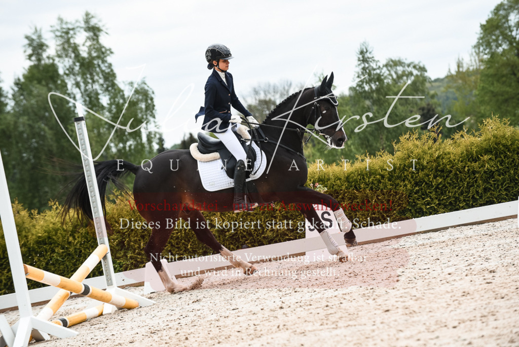 20230518_JK-Röhrsdorf-10-476 | Pferde- und Turnierfotografie in Westsachsen. Pferdeportraits, Auftragszeichnungen und intuitive Kunst.