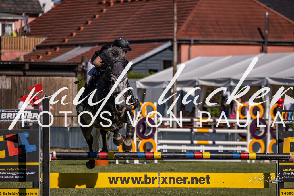 IMG_9852 | Erleben Sie dynamische Sport- und emotionale Tierfotografie in Süddeutschland mit Fotos von Paula. Spezialisiert auf Pferde- und Hundefotografie sowie Sportevents. Kontaktieren Sie mich für einzigartige und ausdrucksstarke Bilder Ihrer besonderen Momente. - Realisiert mit Pictrs.com