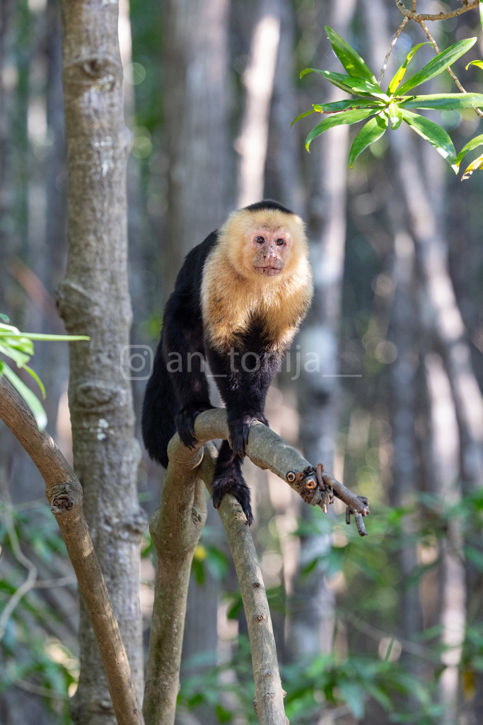 JB3A3140 | antonija-trupina - Realisiert mit Pictrs.com