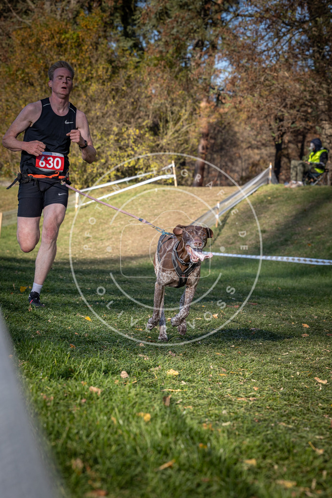 CaniXpix_0L8A8902 | Hundefotografie, Tierfotograf, Pfotenfotografie, Fotoshooting Hund, Hunde Portrait, Hundesport, Hundeportraits, Heideshooting, Hunde, Sportfotograf, Hundefotograf, Turnierhundsport, THS,  - Realisiert mit Pictrs.com