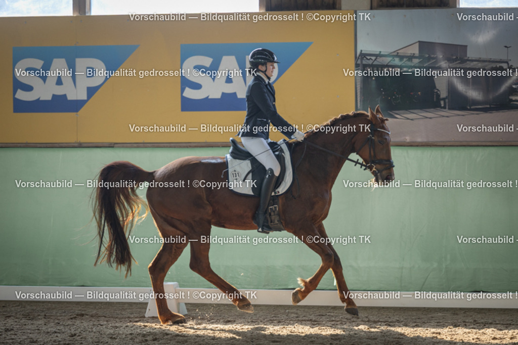 _D5A8547 | Emotionale Pferde- & People-Fotografie rund um Heidelberg, Leimen & Umgebung. Natürliche Fotos von Pferd, Mensch & Familie. Jetzt Termin sichern!