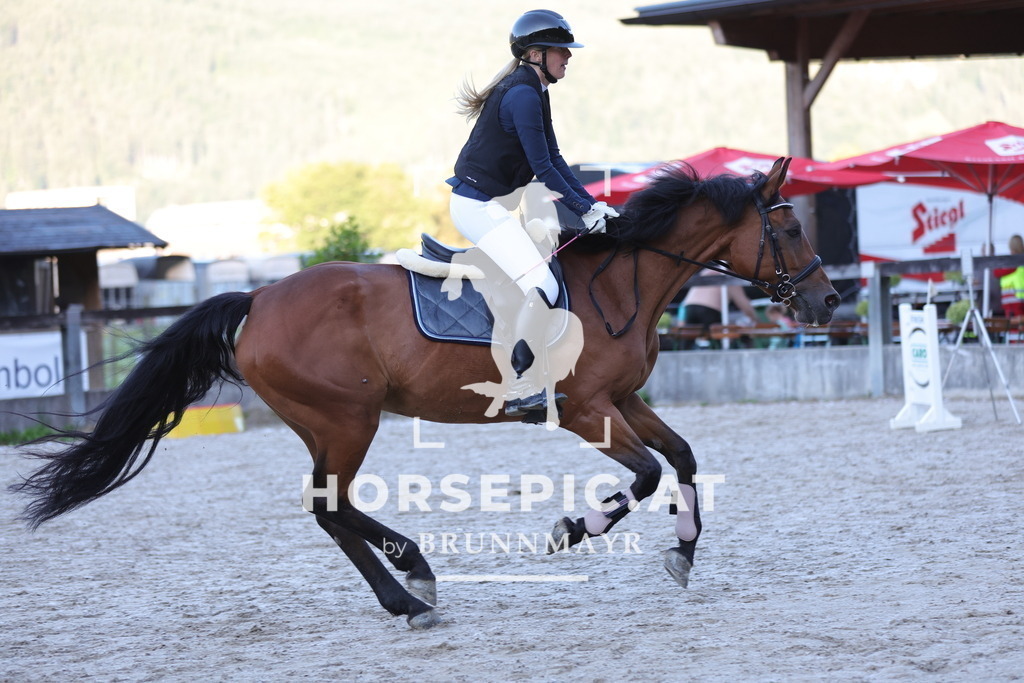 0P6A4003 | Willkommen bei Brunnmayr - Design & Fotografie – Ihrem Spezialisten für Reitturniere und Pferdeveranstaltungen in Oberösterreich, Salzburg und Bayern! Seit über 17 Jahren sind wir leidenschaftlich dabei.