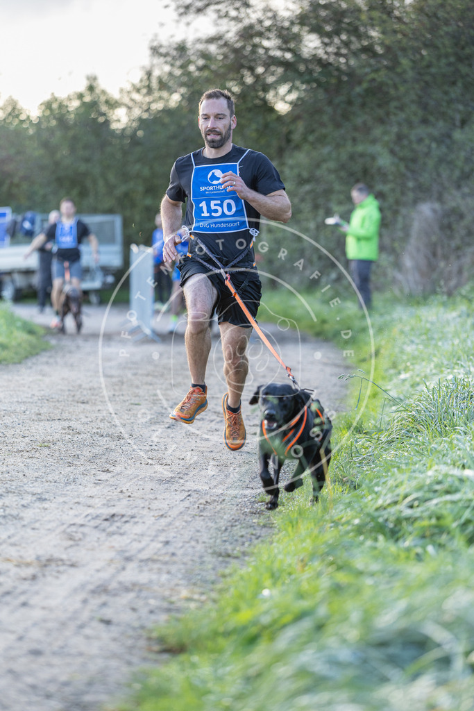 Pfotenfotografie.de_DV3A2790 | Hundefotografie, Tierfotograf, Pfotenfotografie, Fotoshooting Hund, Hunde Portrait, Hundesport, Hundeportraits, Heideshooting, Hunde, Sportfotograf, Hundefotograf, Turnierhundsport, THS, canicross - Realisiert mit Pictrs.com