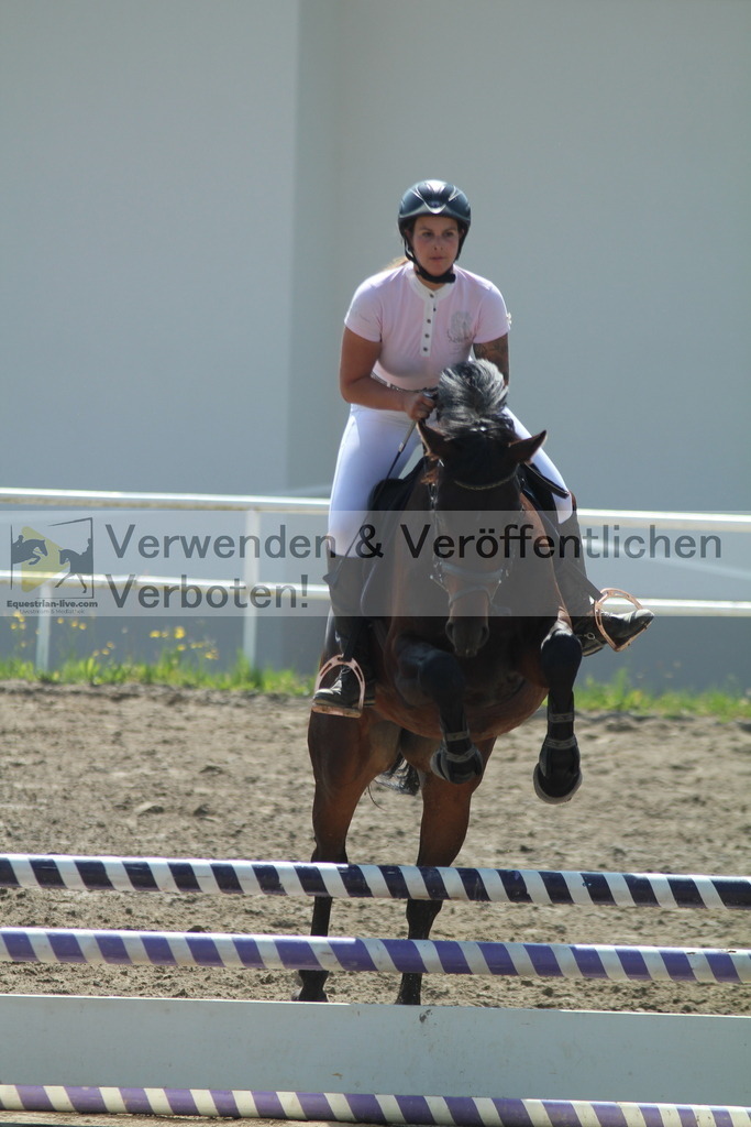 IMG_3347 | equestrian-live-com