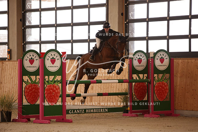 1J2A2273Lilli Plath_ Stakkato_s Diva_ Kn453_ Hohen Wieschendorf_ Glantz | Foto- und Videografie für alles rund ums Pferd. Hochwertige Bilder und Videos vom Spring- und Dressurreiten, Voltigieren & mehr. Jetzt aktuelle Veranstaltungen und Preise im Shop ansehen. - Realisiert mit Pictrs.com