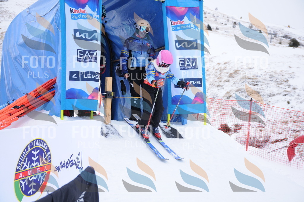 DSC_7786 | holidayphoto