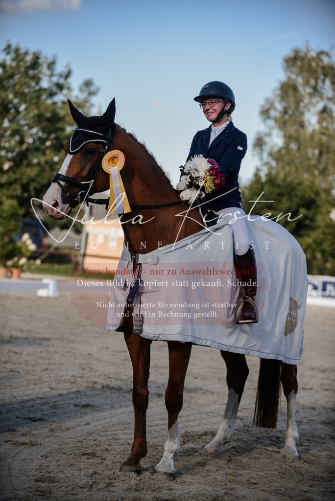 DSC_0722 | Pferde- und Turnierfotografie in Westsachsen. Pferdeportraits, Auftragszeichnungen und intuitive Kunst.
