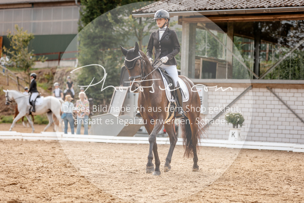 3I6A4051 | Stimmungsvolle Portraits und Reitsportfotografie im Ruhrgebiet und im Münsterland.

Pferdefotografie, Hundefotografie, Tierfotografie, Reportagen, Portraits von Tier und Mensch, Turnierfotografie in Bochum, Recklinghausen, Marl, Haltern am See, Dülmen.. - Realisiert mit Pictrs.com