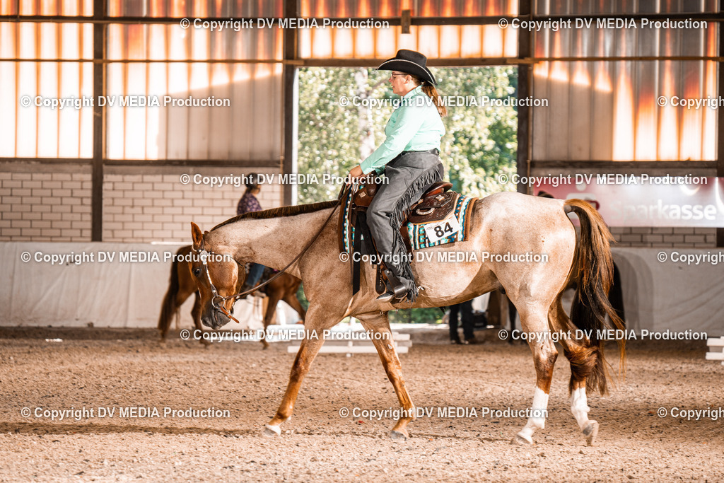 ZH100265 | dv-media-shop - Realisiert mit Pictrs.com