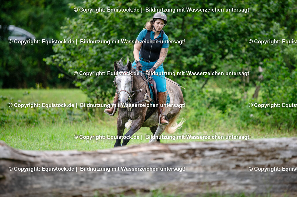 20250725_Vielseitigkeitslehrgang-Marbach_0384 | Foto: Thomas Hartig