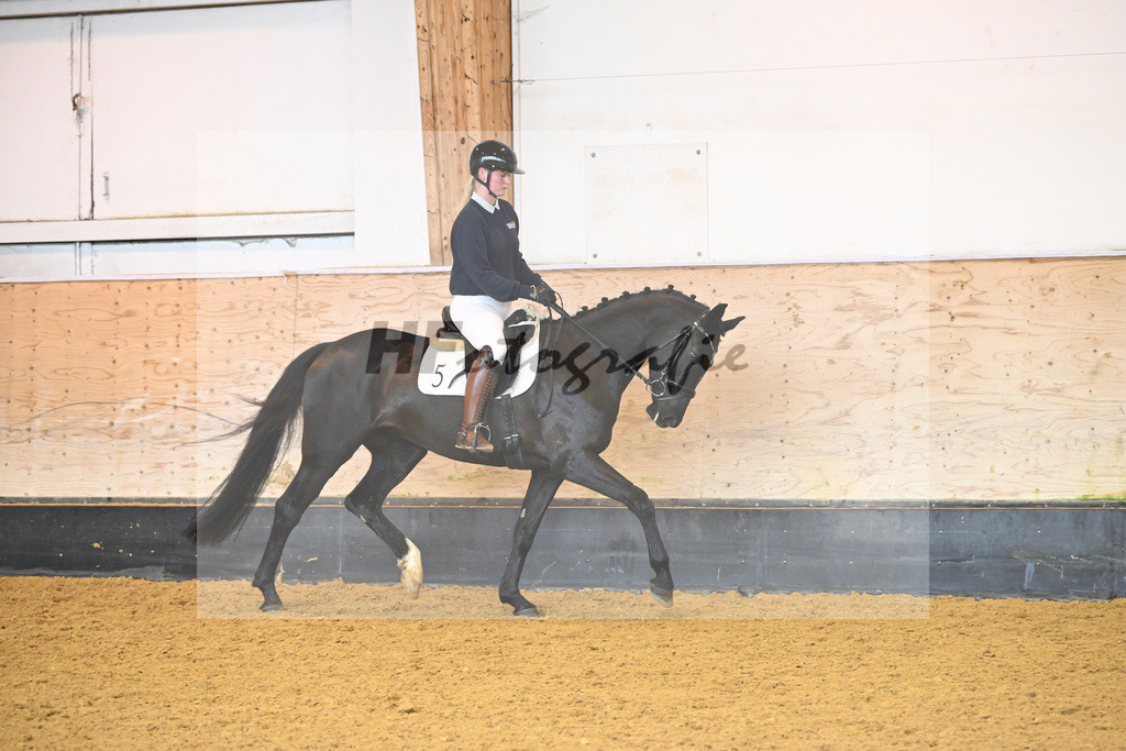 Kat-Nr. 5 Corwina US_Stahl_6222065 | hf-fotografie - Realisiert mit Pictrs.com