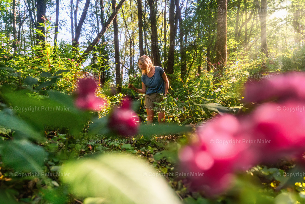 Talboden_Osttirol_Erlebnisraum_Wald_23_Peter_Maier-981 | piet_flosse
