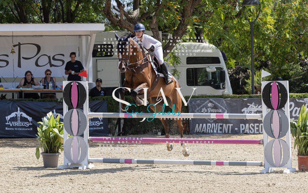 IMG_3448 | s-jay-photography - Realisiert mit Pictrs.com