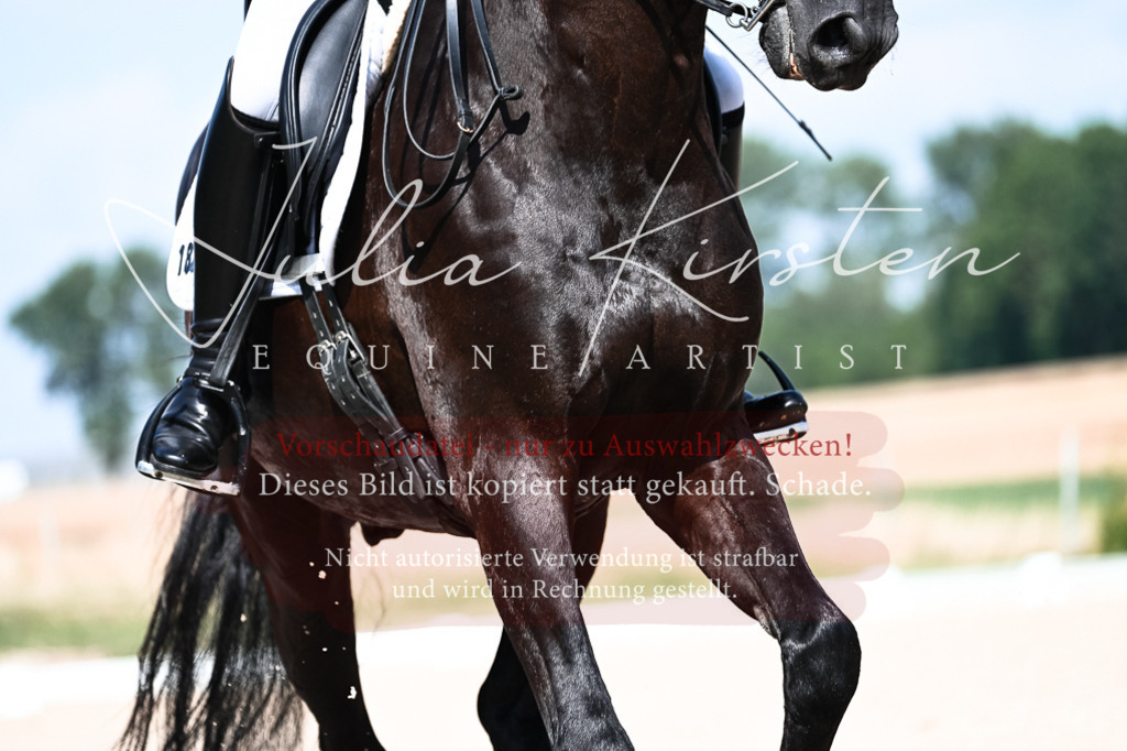 DSC_3031 | Pferde- und Turnierfotografie in Westsachsen. Pferdeportraits, Auftragszeichnungen und intuitive Kunst.