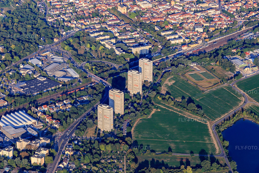 Luftbild: Vier Wohnhochhäuser an der Froschlache im Ortsteil Friesenheim in Ludwigshafen im Bundesland Rheinland-Pfalz in Deutschland. Foto: IMG_109555.jpg vom 31.07.2018 durch Werner Riehm/FLY-FOTO.de