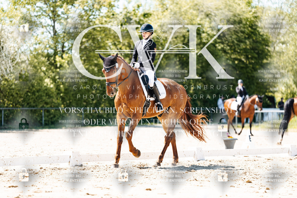 CK905813 | Turnierfotografie Pferdefotografie Trier Rheinland-Pfalz Pferdesport Reitsport Tierfotografie Sportfotografie Pferdevideo Pferdevideografie Equestrianvideography equestrianphotography  - Realisiert mit Pictrs.com