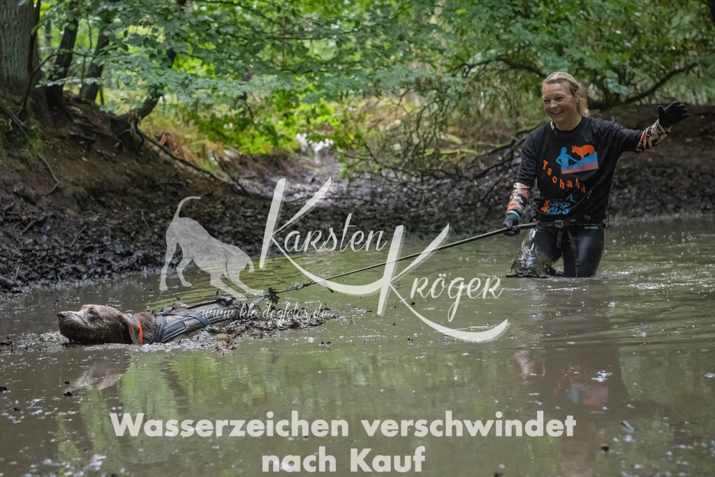 1353_ZZ90521-Bearbeitet | kk-dogfotos