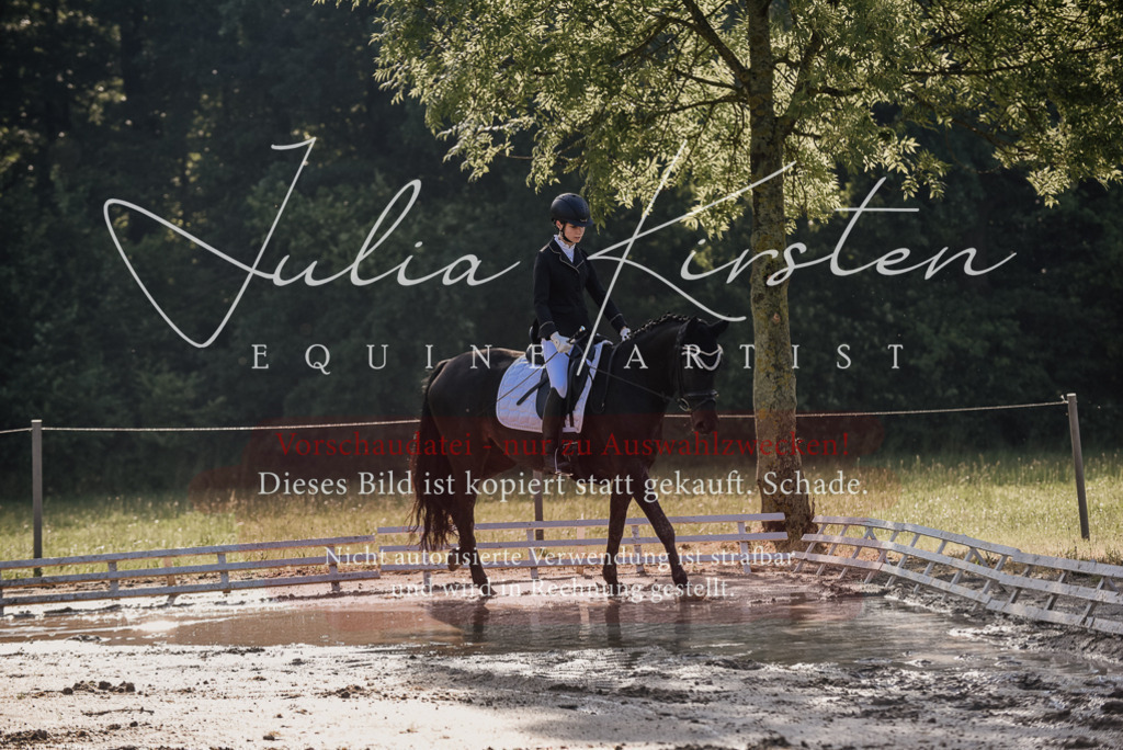 DSC_7773 | Pferde- und Turnierfotografie in Westsachsen. Pferdeportraits, Auftragszeichnungen und intuitive Kunst.
