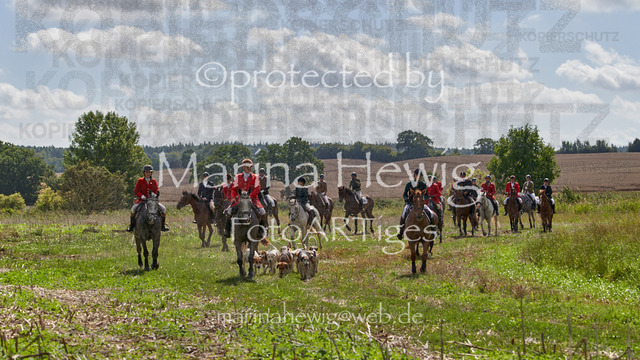 _MCH8370_Marina Hewig | Fotografie, FotoArt, PferdesportArt, Pferdesportfotografie, Landschaftsfotografie, Reisefotografie, Reise, Pferde - Realisiert mit Pictrs.com