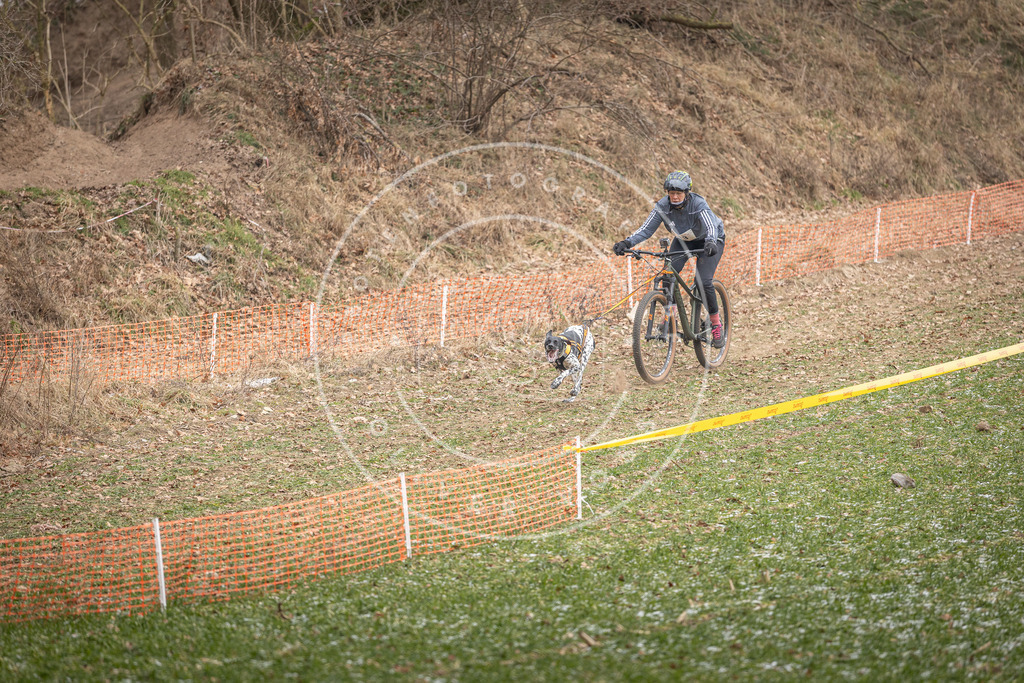 Pfotenfotografie_DV3A6765 | Hundefotografie, Tierfotograf, Pfotenfotografie, Fotoshooting Hund, Hunde Portrait, Hundesport, Hundeportraits, Heideshooting, Hunde, Sportfotograf, Hundefotograf, Turnierhundsport, THS,  - Realisiert mit Pictrs.com