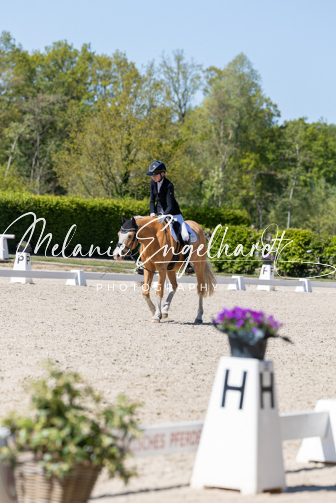 7I8A1261 | melanie-engelhardt-photography - Realisiert mit Pictrs.com
