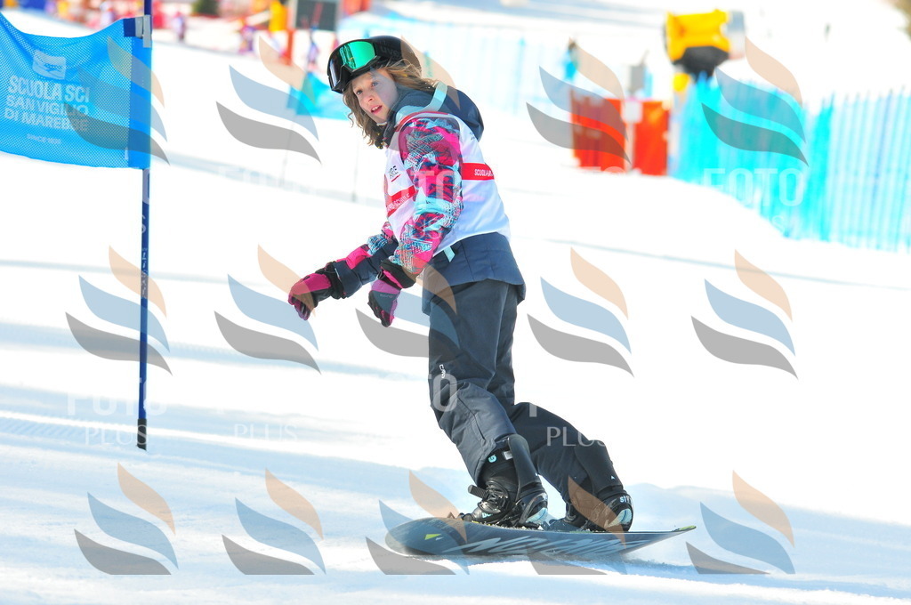 B8715 | holidayphoto