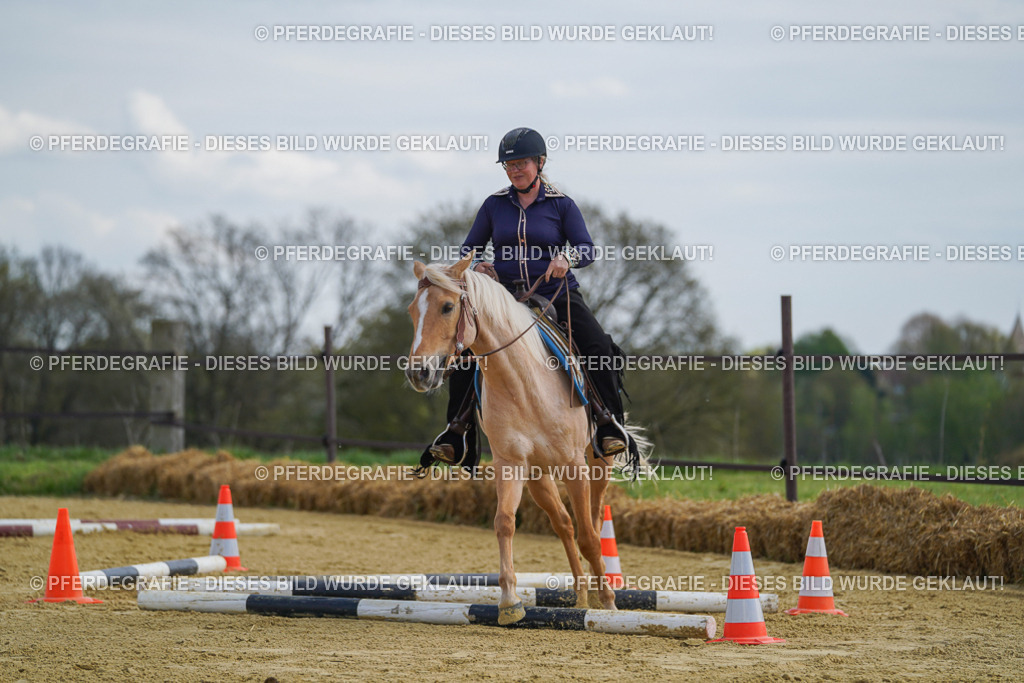 DSC05106 | Pferdegrafie