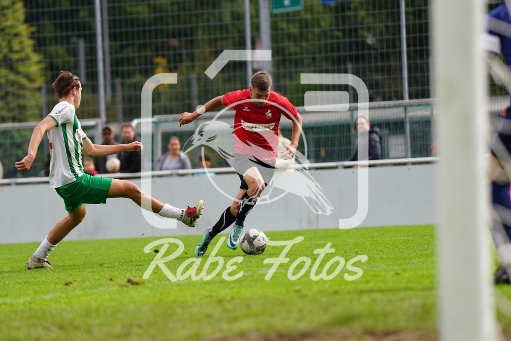 SON05328 | rabefotos