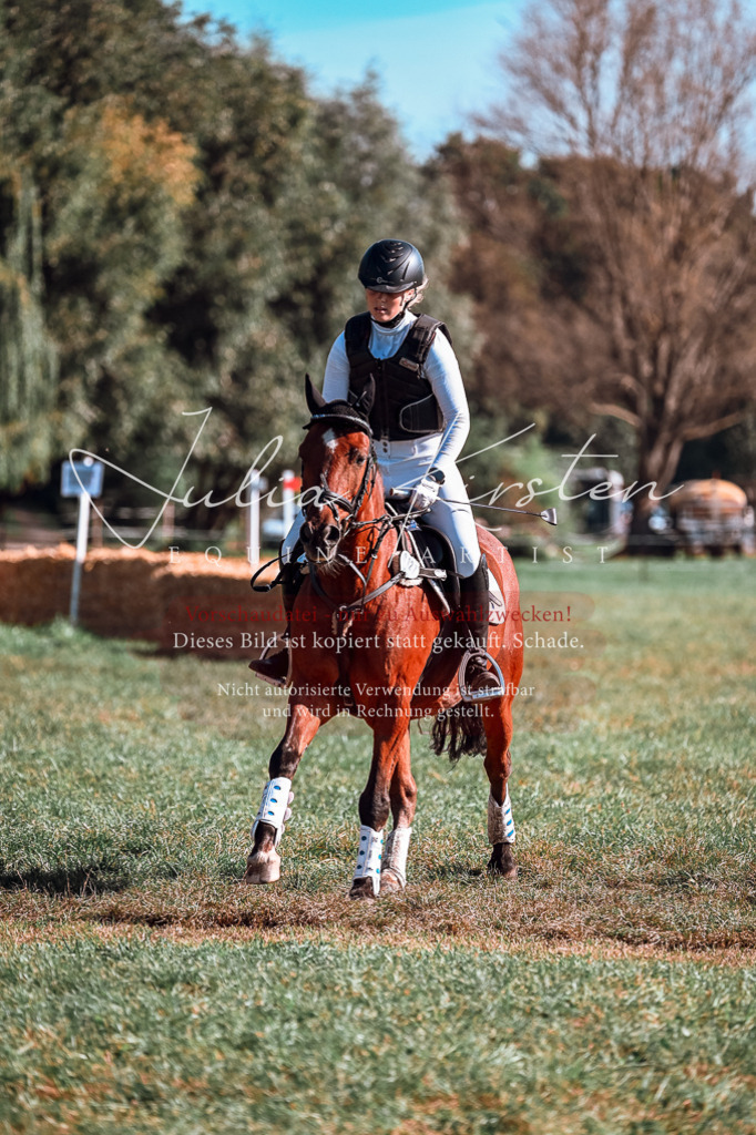 DSC_0627 | Pferde- und Turnierfotografie in Westsachsen. Pferdeportraits, Auftragszeichnungen und intuitive Kunst.