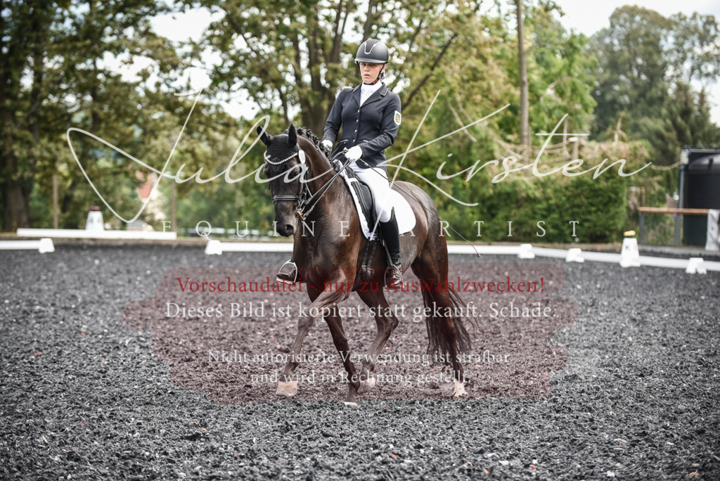 DSC_5061 | Pferde- und Turnierfotografie in Westsachsen. Pferdeportraits, Auftragszeichnungen und intuitive Kunst.