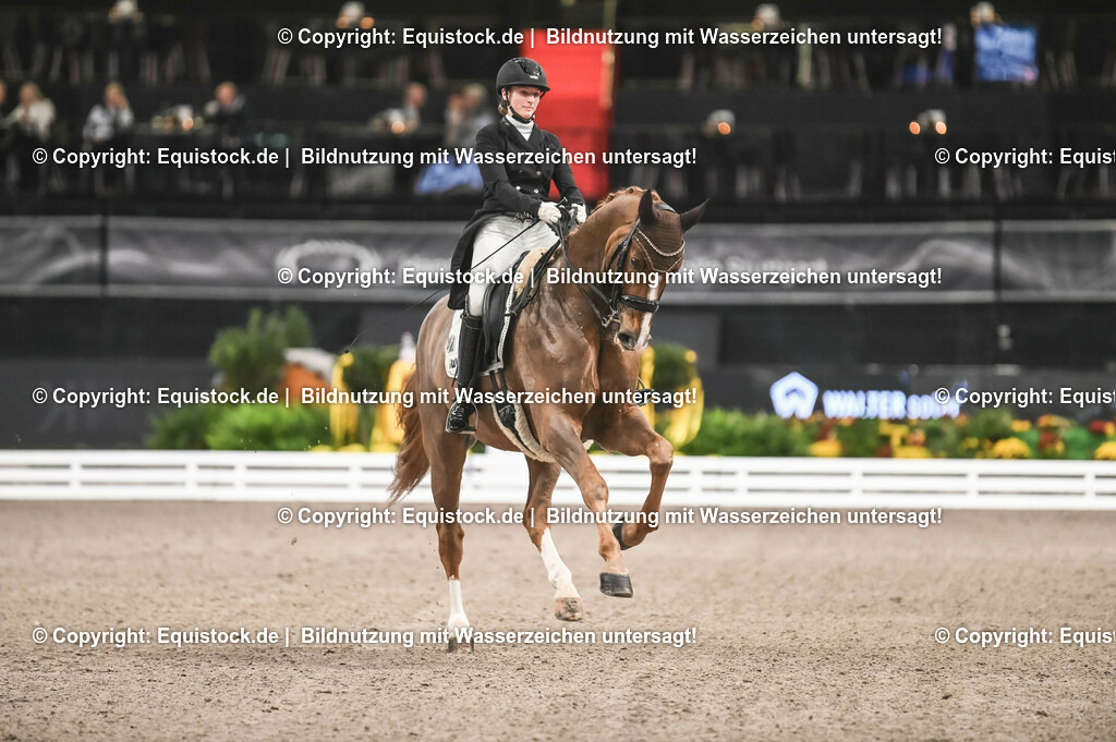 20231115_20_Dressur_Kl-S++_0157_TOMsPiC | Foto: Thomas Hartig