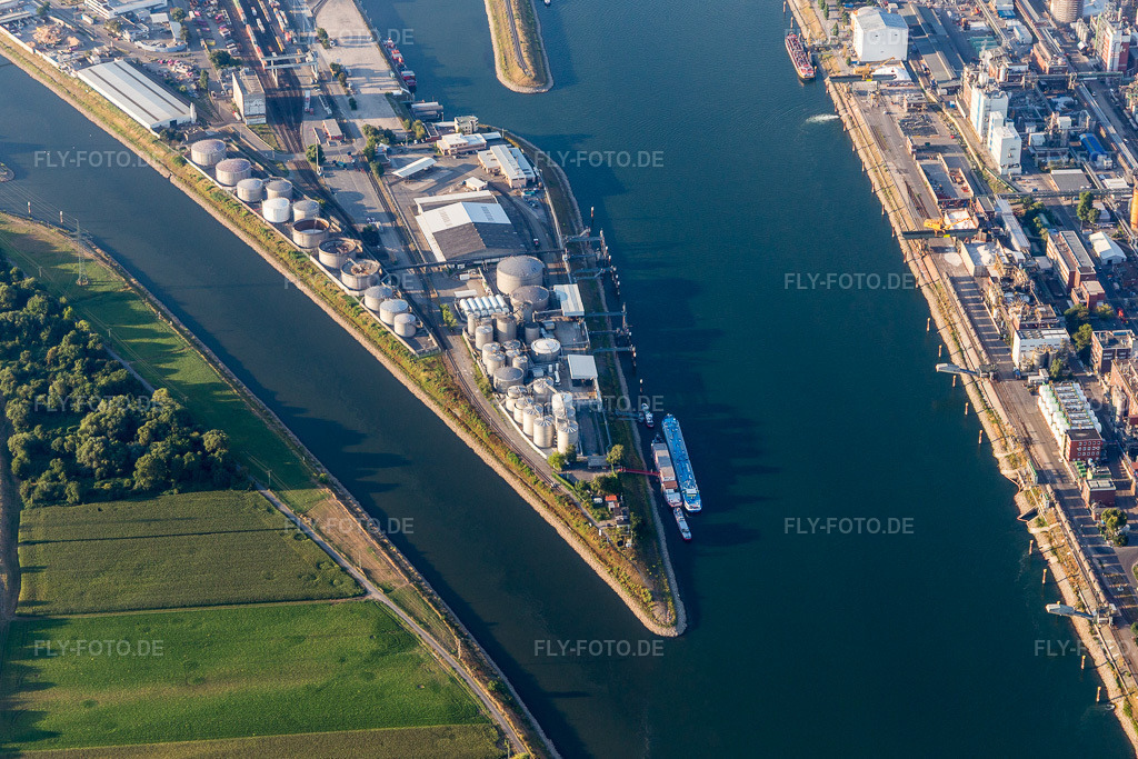 Luftbild: Neckarspitze Mühlauhafen im Ortsteil Innenstadt in Mannheim im Bundesland Baden-Württemberg in Deutschland. Foto: IMG_109528.jpg vom 31.07.2018 durch Werner Riehm/FLY-FOTO.de