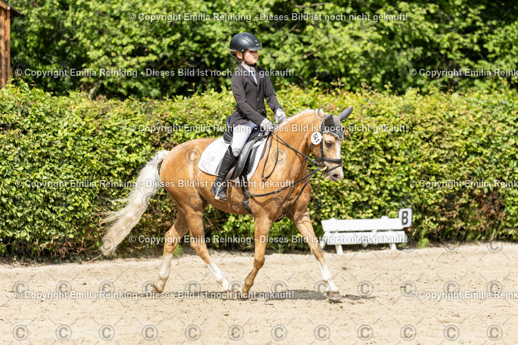 CL5A1441 | Emilia Reinking Fotografie - Realisiert mit Pictrs.com