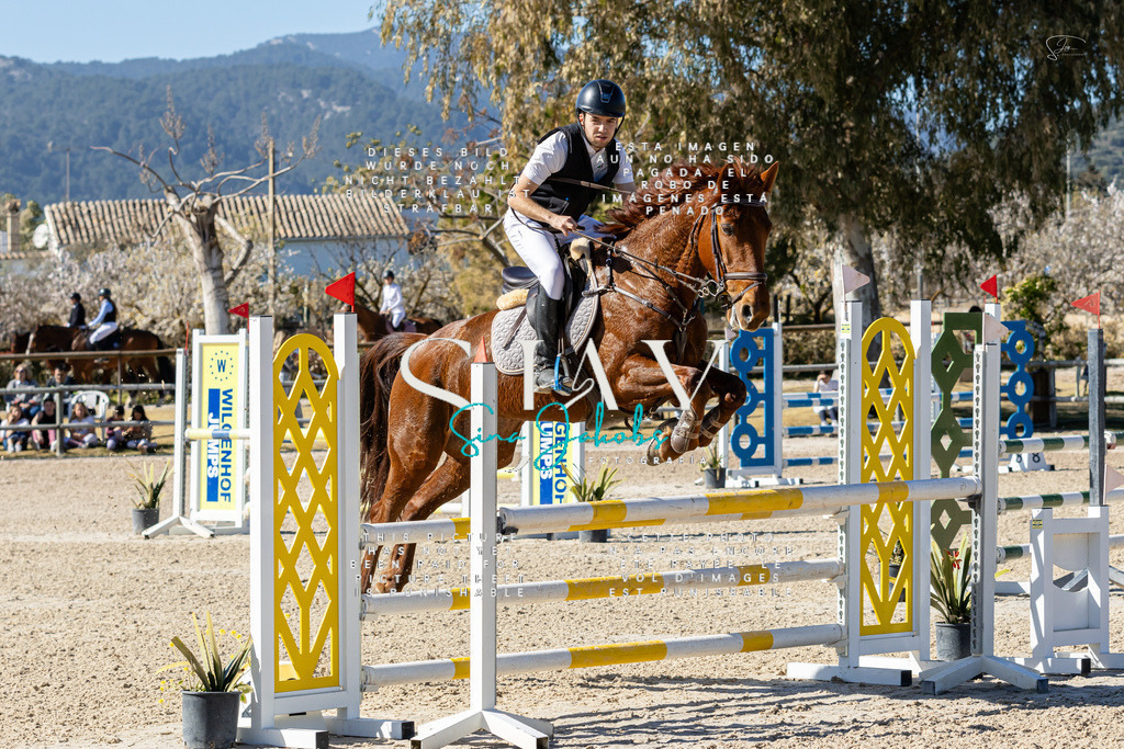 IMG_0729 | s-jay-photography - Realisiert mit Pictrs.com