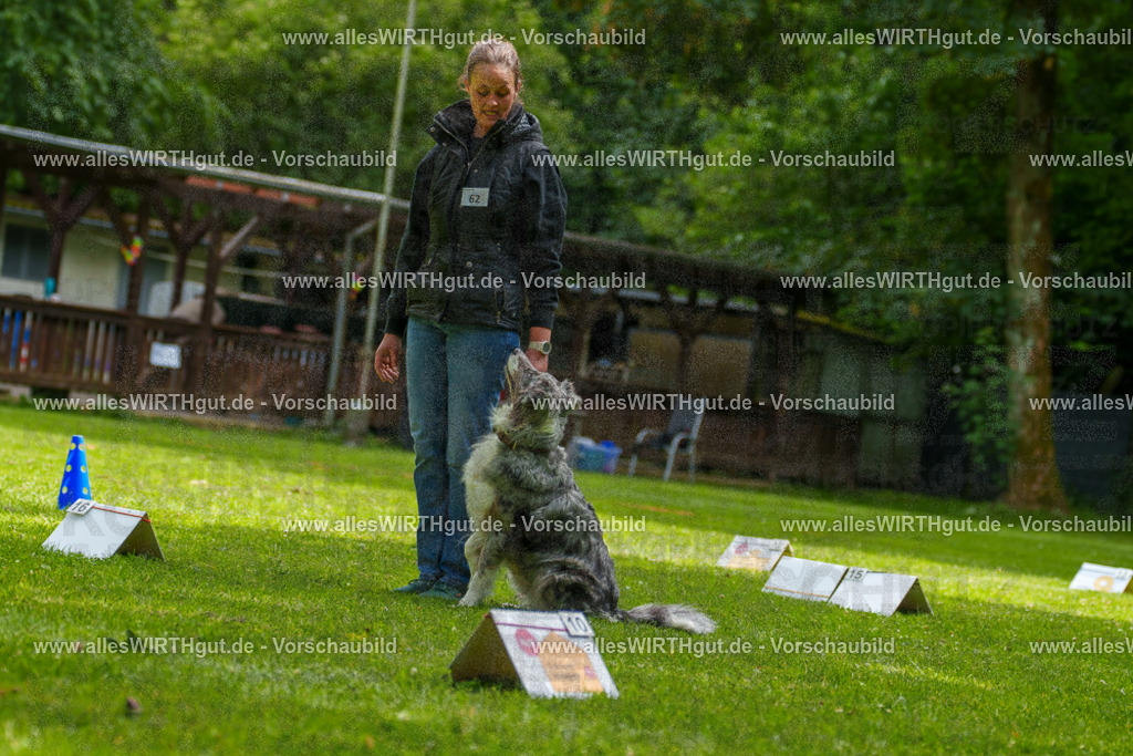 @allesWIRTHgut_Tierfotografie - www.allesWIRTHgut.de - 7R502115 | Professionelle Tierfotografie in Mönchengladbach von Daniel Wirth (allesWIRTHgut). Liebevolle & natürliche Bilder von Hunden & Katzen für unvergessliche Erinnerungen.