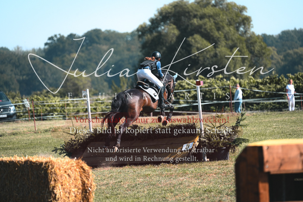DSC_7940 | Pferde- und Turnierfotografie in Westsachsen. Pferdeportraits, Auftragszeichnungen und intuitive Kunst.
